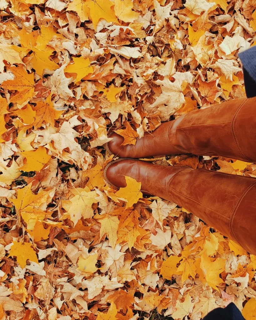 wide calf boots under $50